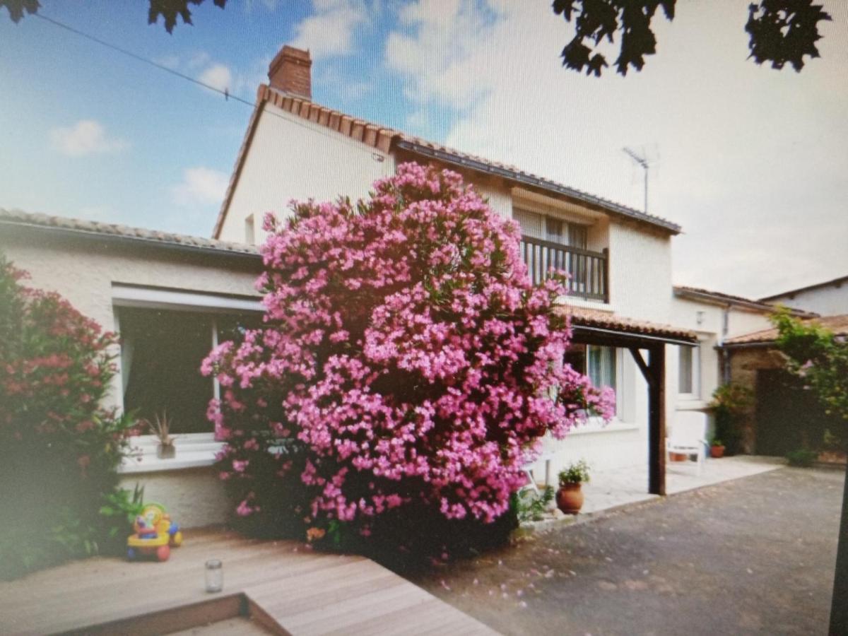 Chambres D'Hotes Vignes Et Loire Drain エクステリア 写真