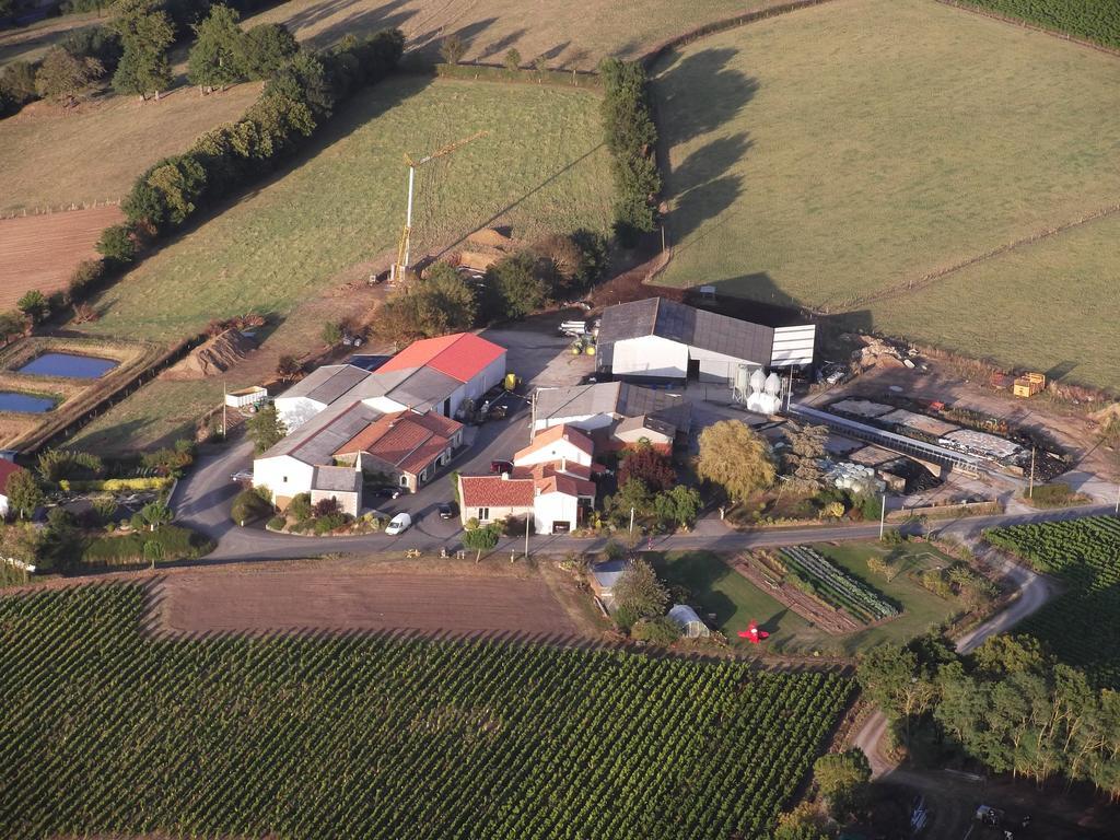 Chambres D'Hotes Vignes Et Loire Drain エクステリア 写真