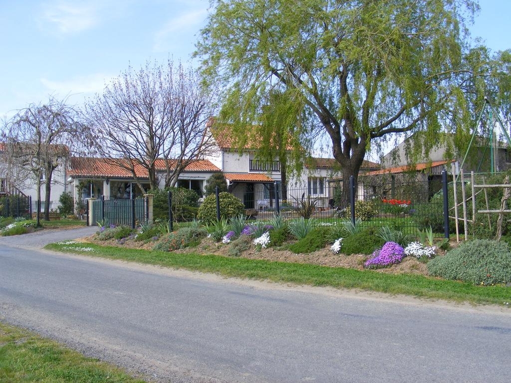 Chambres D'Hotes Vignes Et Loire Drain エクステリア 写真